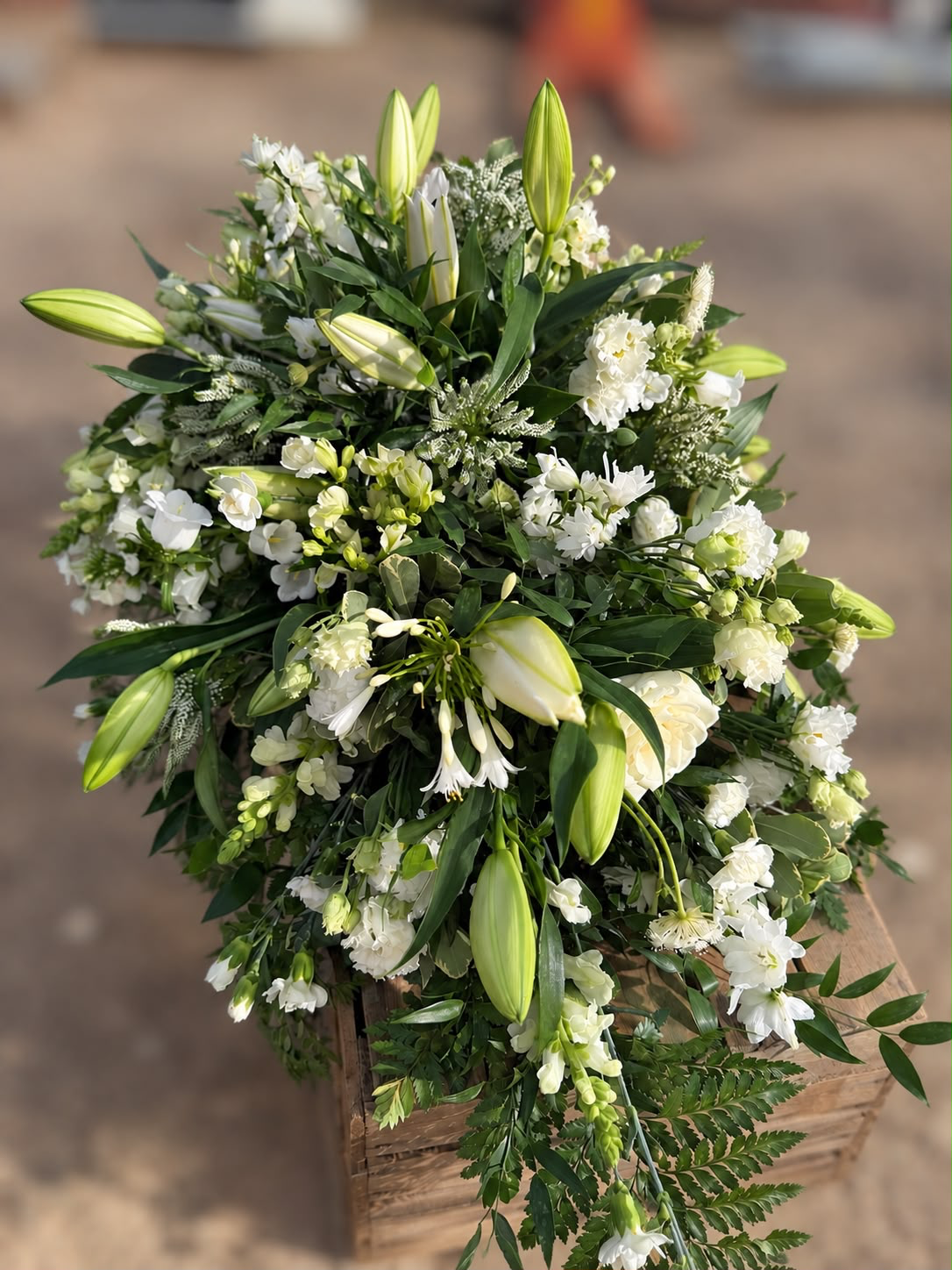 White lily and ivory rose casket spray with trailing ferns